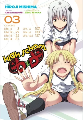 High School DxD, Vol. 3 by Hiroji Mishima, Paperback