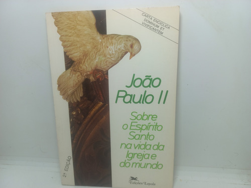 Livro - Sobre O Espírito Santo Na Vida Da Igreja - C - 376