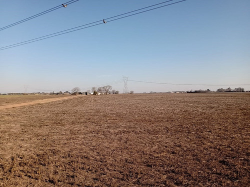 Campo- Apto Emprendimiento- Feedlot- Agricola