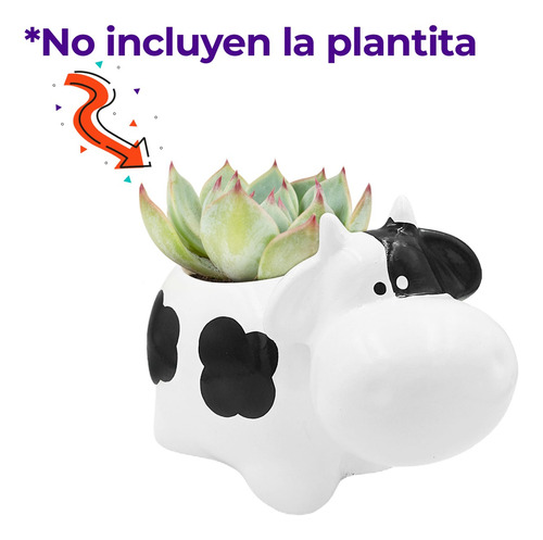 Maceta De Cerámica Maceta Decorada Esmaltada Animales Vaca