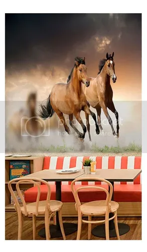 Papel De Parede Paisagem Animais Cavalo Pulando Céu M² Anm84