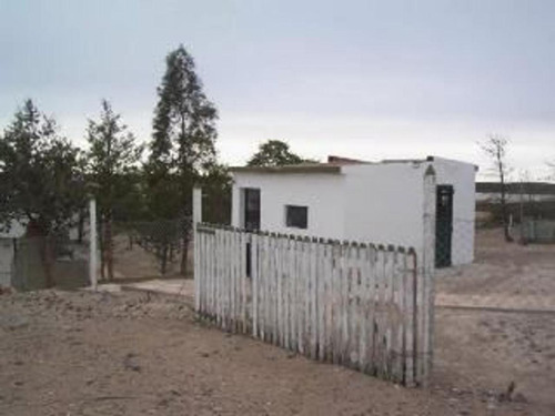 Imagen 5 de 10 de Campo - Biedma