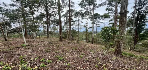 Lote En Venta Ubicado En El Retiro Sector Don Diego (26671).