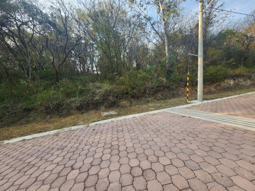 Venta Lote Gladiola 34 Cerca De Acceso Con Vistas Panorámicas Y Todos Los Servicios Inlcuyendo Proyecto En Fracc Rancho San Diego Ixtapan De La Sal Edomex