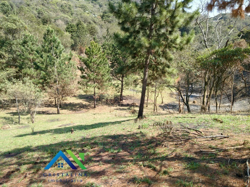 Imagem 1 de 9 de Oportunidade Lote Para Formar Sua Chácara 5.000 M² Campo Limpo Paulista/sp - Ch00063 - 34329385