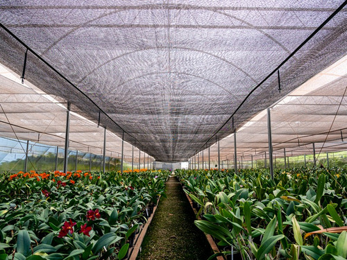 Tela Sombrite Com Prendedores 50% Preta - 10m X 16m