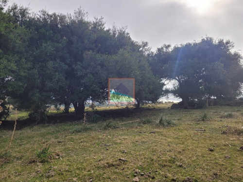 Imagen 17 de 30 de 79 Hás Campo Criador Y Serrano En Corte De La Leña