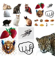 Comprar 34mil Imagens Png Exclusivas Para Artes Gráficas E Design