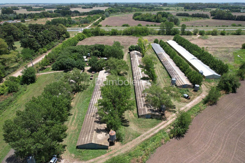 Imagen 3 de 15 de Terreno Campo En Venta - General Rodriguez - G.b.a. Zona Oeste
