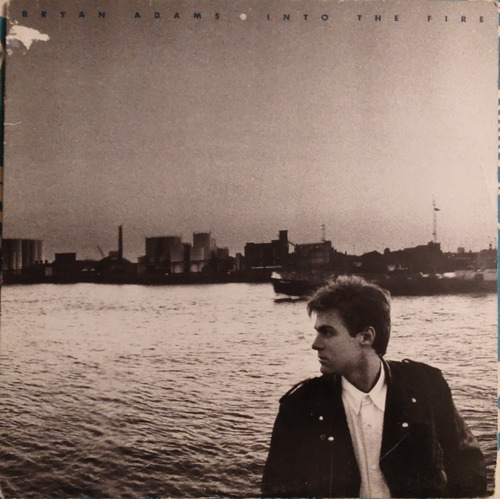 Vinilo Lp Bryan Adams Into The Fire (xx277 (Usado)