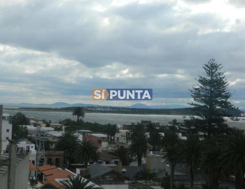 Imagen 1 de 10 de Apartamento En Alquiler - Peninsula
