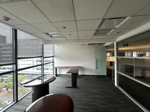 Oficina En Renta - Polanco - Piso 5 - 754 M2
