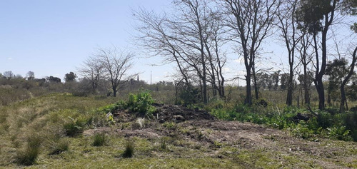 Imagen 11 de 30 de Terreno En Venta En La Plata Calle 44 Esq 177 - Dacal Bienes Raices
