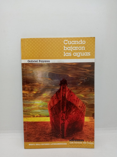 Cuando Bajaron Las Aguas - Gabriel Payares - Lit Venezolana