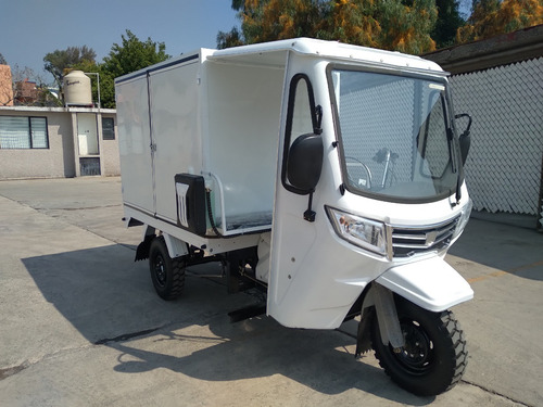 Motocarro Gasolina Muevetec 2025 Rex Se Caja Cerrada 250cc