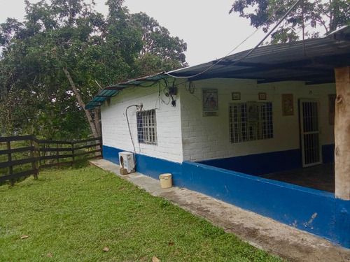Finca Agrícola, En El Estado Miranda Fp