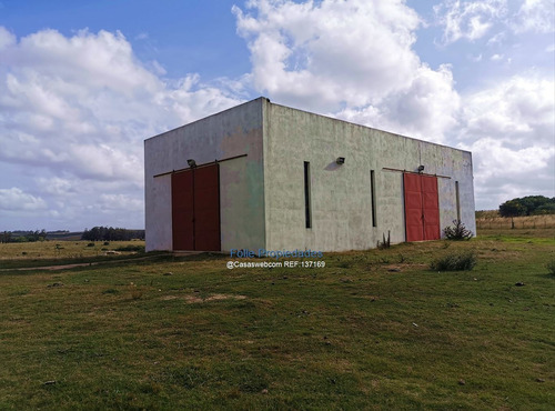 Rocha Venta O Renta Muy Buen Campo 912 Hectareas
