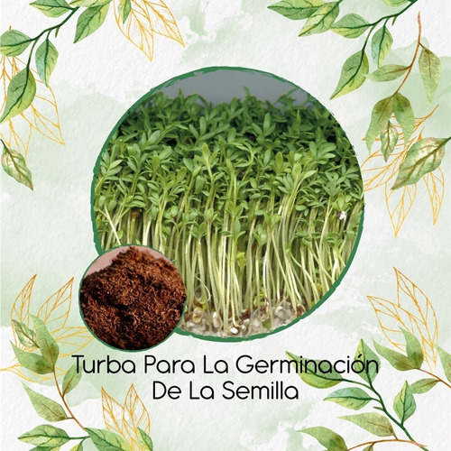 Turba Canadiense Especial Para Semillas De Lepidium Sativum