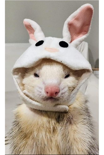Disfraz De Hurón Dibujos Animados Forma De Animal Gorra De M