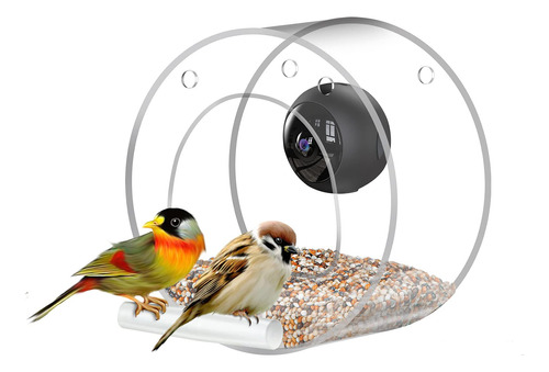 Alimentador Inteligente Para Pajaro Camara Video Hd Wifi