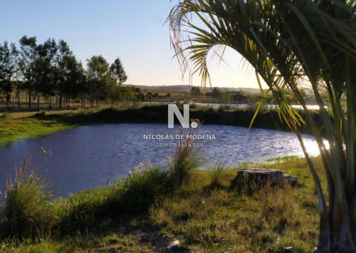 Campo De 5 Hectáreas En Venta.- Ref: 3032