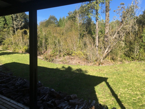 Moderna Tiny House Inserta En Parcela De Bosque Nativo