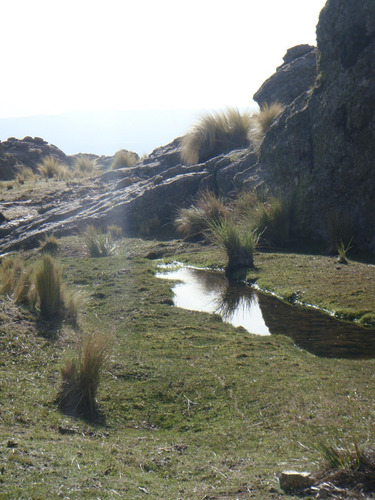 Campo En Venta En Nono