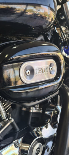 Harley Davidson 1200 Xl Custom
