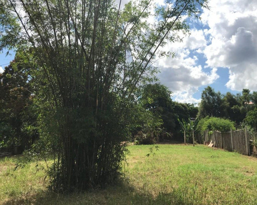 Imagem 4 de 18 de Chácara À Venda Na Vila Minerão - Sorocaba/sp - Ch00803 - 70632841