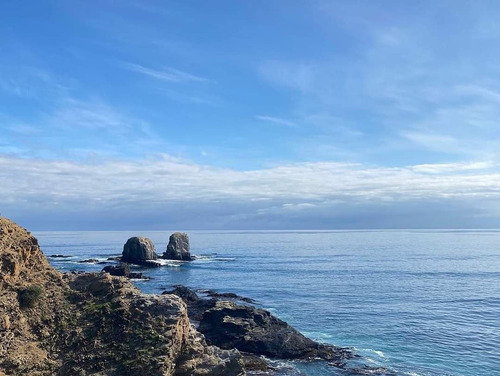 Parcelas Planas En Pichilemu, Orilla De Asfalto.