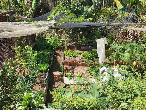 Imagem 3 de 22 de Chácaras À Venda Em Jarinú/sp - Compre O Seu Chácaras Aqui! - 1482293