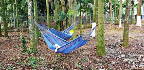 Imagem 2 de 20 de Belíssima Chácara Localizada Na Vila Santo Antônio Medindo 3.056,82m² Por R$283 Mil - Ch0168