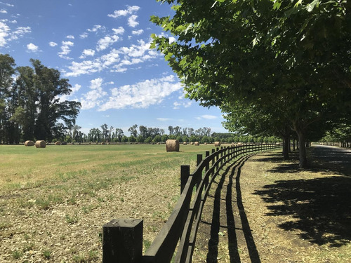 Imagen 23 de 30 de Exclusivos Lotes En Technopolo En Gral Rodriguez Capital Del Polo Argentino