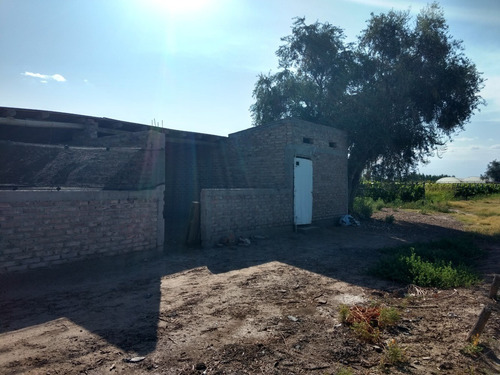 Imagen 12 de 13 de 3,9 Has En Excelente Estado. Maipú, Mendoza