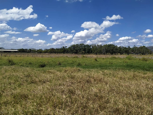 Imagen 6 de 24 de Venta Granja En La Ciudad Valencia Estado Carabobo