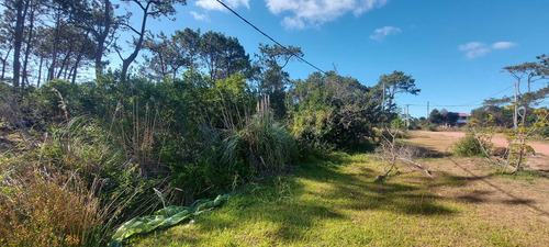 Imagen 6 de 28 de Vendo 1 O 2 Lotes De 584 M2 En Punta Del Diablo