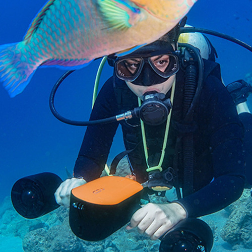 Marina Subacuática De Dos Hélices Con 3 Velocidades, Buceo