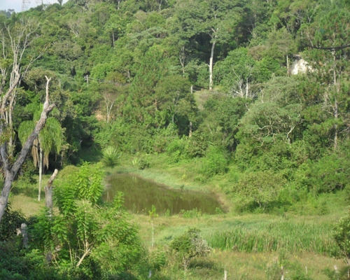 Imagem 15 de 22 de Chácara À Venda Em Juquitiba - 409 - 32982628
