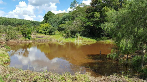 Imagem 9 de 10 de Chácara À Venda Em Joaquim Egídio - Ch005289