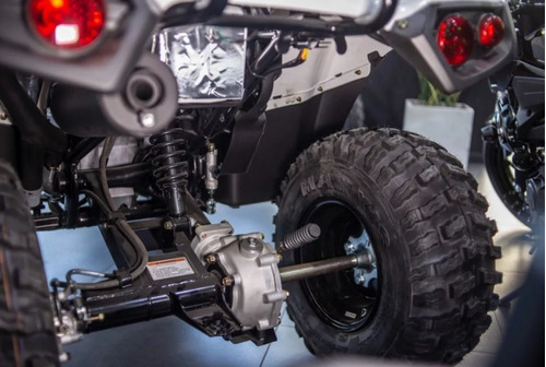 Cuatriciclo Kawasaki Brute Force 300 2023 Kawasaki Lidermoto