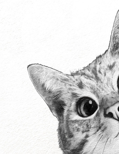 Imagen 6 de 9 de Set Cuadros Gatos En Lienzo Canvas Contemporáneos Modernos