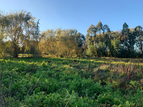 Excelente Parcela De 6000 M2 A Pocos Minutos De Talca