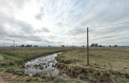 Campo En Balcarce