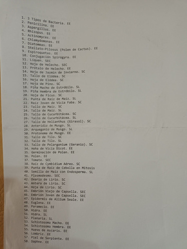 100 Preparados Histológicos (Usado)