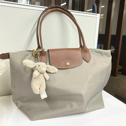 French Dragon Classic Dumpling Shoulder Handbag Folding12