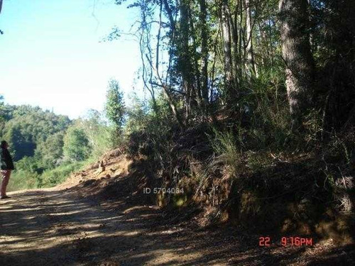 Imagen 8 de 21 de Camino Nonguen S / N , Sector Reserva De Nonguen Concepc...
