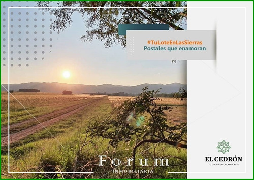 Compra Tu Lote: El Cedrón: Va. Ciudad Parque Los Reartes
