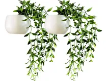 Comprar Imanes De Plantas Para Nevera Suculentas