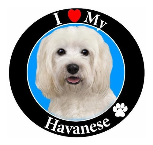 Imán De Coche Havanese De Alta Calidad.