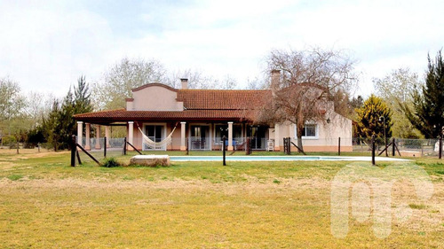 Imagen 7 de 30 de Venta Casa En Campos De Roca